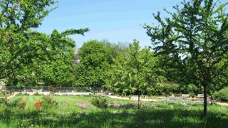 Une gestion plus écologique joue sur l'aspect visuel des espaces. ©Florysage Une gestion plus écologique joue sur l'aspect visuel des espaces. ©Florysage Une gestion plus écologique joue sur l'aspect visuel des espaces. ©Florysage Une gestion plus écologique joue sur l'aspect visuel des espaces. ©Florysage