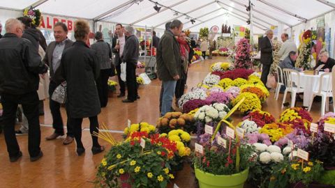 Les exposants de l'édition 2013 du Salon du chrysanthème ont reçu, au Val Sarah, à Bardouville (76), des professionnels venus de toute la France, de Pologne, et même de Côte d'Ivoire. ©Odile Maillard Les exposants de l'édition 2013 du Salon du chrysanthème ont reçu, au Val Sarah, à Bardouville (76), des professionnels venus de toute la France, de Pologne, et même de Côte d'Ivoire. ©Odile Maillard