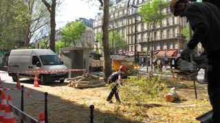 Pour tout savoir sur les règles professionnelles concernant l'élagage, rendez-vous à Paysalia, le mardi 3 décembre à 12 heures.©Pascal Fayolle Pour tout savoir sur les règles professionnelles concernant l'élagage, rendez-vous à Paysalia, le mardi 3 décembre à 12 heures.©Pascal Fayolle Pour tout savoir sur les règles professionnelles concernant l'élagage, rendez-vous à Paysalia, le mardi 3 décembre à 12 heures.©Pascal Fayolle Pour tout savoir sur les règles professionnelles concernant l'élagage, rendez-vous à Paysalia, le mardi 3 décembre à 12 heures.©Pascal Fayolle