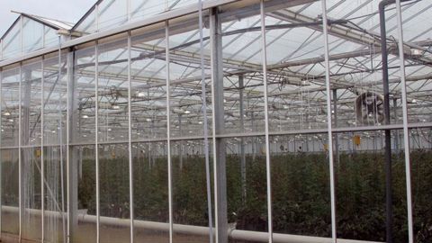 Les terrains horticoles font partie du foncier non bâti ; ils sont exclus de la majoration de la taxe initialement prévue au début de l'année 2014. ©Valérie Vidril Les terrains horticoles font partie du foncier non bâti ; ils sont exclus de la majoration de la taxe initialement prévue au début de l'année 2014. ©Valérie Vidril