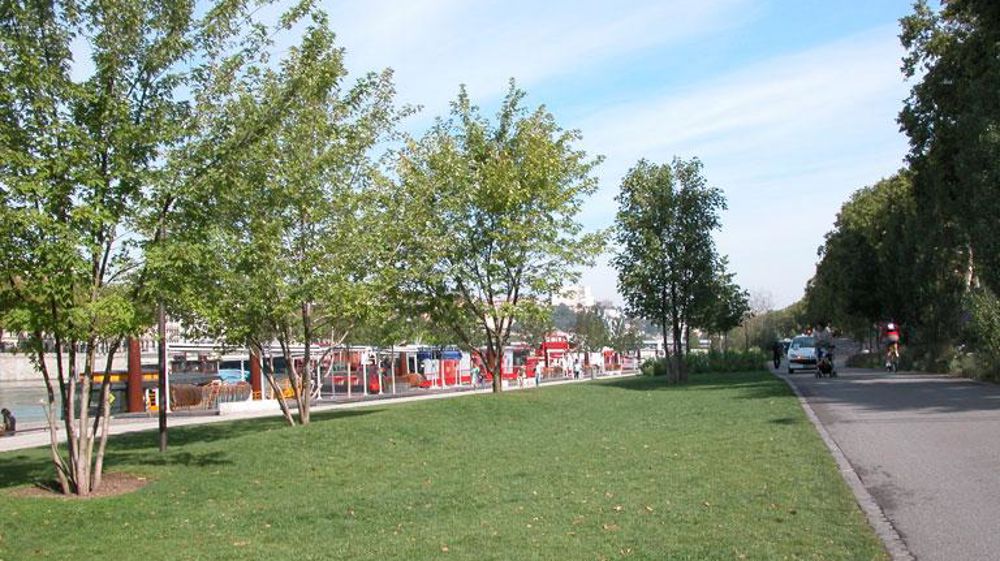 Pour la Ville et le Grand Lyon, il est apparu évident de faire en sorte que la politique de gestion du patrimoine arboré soit cohérente et coordonnée afin de participer au maintien et à l'amélioration du cadre de vie des habitants. ©Pascal Fayolle Pour la Ville et le Grand Lyon, il est apparu évident de faire en sorte que la politique de gestion du patrimoine arboré soit cohérente et coordonnée afin de participer au maintien et à l'amélioration du cadre de vie des habitants. ©Pascal Fayolle
