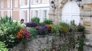 Tous les ans, Roger Delevaque effectue un repérage sur l'ensemble des espèces utilisées en fleurissement dans différentes régions, en collaboration avec des jardiniers et/ou responsable de terrain. ©Roger Delevaque. Tous les ans, Roger Delevaque effectue un repérage sur l'ensemble des espèces utilisées en fleurissement dans différentes régions, en collaboration avec des jardiniers et/ou responsable de terrain. ©Roger Delevaque. Tous les ans, Roger Delevaque effectue un repérage sur l'ensemble des espèces utilisées en fleurissement dans différentes régions, en collaboration avec des jardiniers et/ou responsable de terrain. ©Roger Delevaque. Tous les ans, Roger Delevaque effectue un repérage sur l'ensemble des espèces utilisées en fleurissement dans différentes régions, en collaboration avec des jardiniers et/ou responsable de terrain. ©Roger Delevaque.