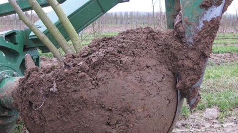 Les aides à l'investissement pourront désormais concerner les pépinières de pleine terre pour, par exemple, des actions visant à réduire la pénibilité... ©Valérie Vidril Les aides à l'investissement pourront désormais concerner les pépinières de pleine terre pour, par exemple, des actions visant à réduire la pénibilité... ©Valérie Vidril