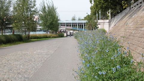 Reconquête des berges du Rhône à Lyon : ce chantier, terminé depuis quelques années, a permis aux habitants de redécouvrir leur fleuve dans un cadre végétalisé. © Pascal Fayolle Reconquête des berges du Rhône à Lyon : ce chantier, terminé depuis quelques années, a permis aux habitants de redécouvrir leur fleuve dans un cadre végétalisé. © Pascal Fayolle