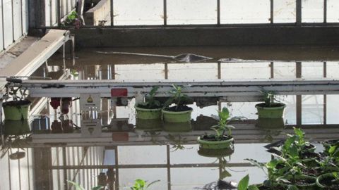 Les installations techniques balayées par l'eau chargée de boue devront être remises en état. ©Gartenbau Versicherung France Les installations techniques balayées par l'eau chargée de boue devront être remises en état. ©Gartenbau Versicherung France