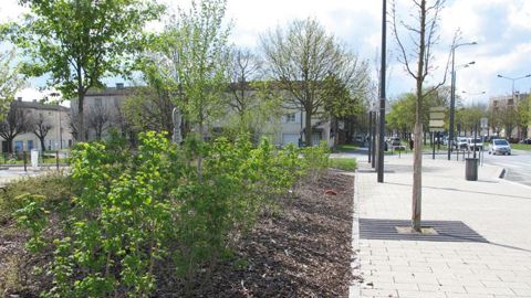 Les échéances 2020 et 2022 doivent offrir les délais nécessaires à l'adoption de nouvelles pratiques. La réduction des pesticides en agriculture sera quant à elle traitée dans le cadre de la loi d'avenir agricole. ©Pascal Fayolle Les échéances 2020 et 2022 doivent offrir les délais nécessaires à l'adoption de nouvelles pratiques. La réduction des pesticides en agriculture sera quant à elle traitée dans le cadre de la loi d'avenir agricole. ©Pascal Fayolle