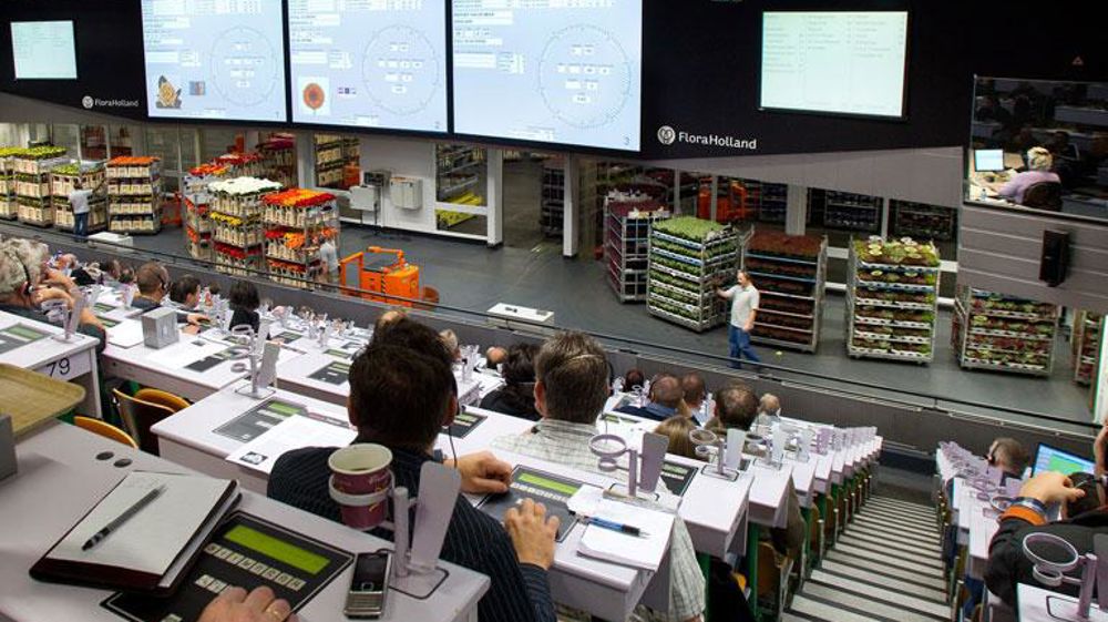 Cadran Bleiswijk : Les conséquences sociales du  regroupement des cadrans de Bleiswijk et Naaldwijk en un seul marché pour fleuriste à Naaldwijk fait partie des points de désaccord. Cadran Bleiswijk : Les conséquences sociales du  regroupement des cadrans de Bleiswijk et Naaldwijk en un seul marché pour fleuriste à Naaldwijk fait partie des points de désaccord.