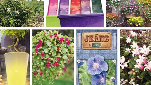  Compacité et fantaisie en végétaux, ressorts du marketing en initiatives commerciales,  praticité et ergonomie en matériels et fournitures, démarches via le web pour les services... l'édition 873 du 12 février 2014 du Lien horticole révèle, en avant-première, les nouveautés des exposants au Salon du végétal et les tendances pour les saisons à venir.