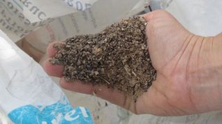 Le choix d'un substrat ou d'un fertilisant organique, que ce soit pour des raisons fiscales ou de conduite biologique, implique un nécessaire changement des pratiques culturales. La CAS a publié l'an dernier une fiche de recommandations pour l'utilisation de substrats enrichis en engrais organique. ©Valérie Vidril Le choix d'un substrat ou d'un fertilisant organique, que ce soit pour des raisons fiscales ou de conduite biologique, implique un nécessaire changement des pratiques culturales. La CA Le choix d'un substrat ou d'un fertilisant organique, que ce soit pour des raisons fiscales ou de conduite biologique, implique un nécessaire changement des pratiques culturales. La CAS a publié l'an dernier une fiche de recommandations pour l'utilisation de substrats enrichis en engrais organique. ©Valérie Vidril Le choix d'un substrat ou d'un fertilisant organique, que ce soit pour des raisons fiscales ou de conduite biologique, implique un nécessaire changement des pratiques culturales. La CA