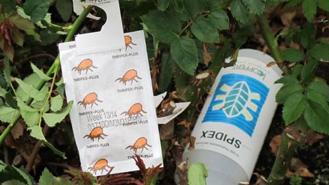 Les délais d'évaluation et d'autorisation de mise sur le marché des produits de biocontrôle, y compris les préparations naturelles peu préoccupantes (PNPP), devraient être fixés par décret. ©Valérie Vidril Les délais d'évaluation et d'autorisation de mise sur le marché des produits de biocontrôle, y compris les préparations naturelles peu préoccupantes (PNPP), devraient être fixés par décret. ©Valérie Vidril