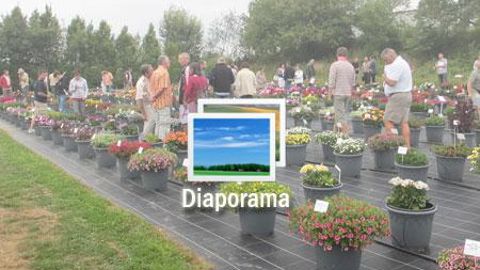 ©Odile Maillard – juin 2011. 