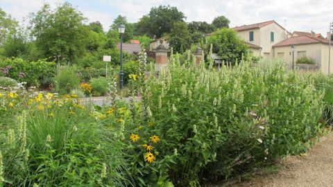 Saint-Benoît, dans la Vienne, est l'une des sept communes à avoir décroché la Fleur d'Or cette année.(c)Pascal Fayolle Saint-Benoît, dans la Vienne, est l'une des sept communes à avoir décroché la Fleur d'Or cette année.(c)Pascal Fayolle