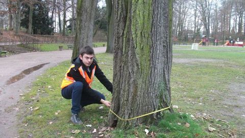Marc Koehler, élève ingénieur à AgroCampus Ouest d'Angers et en apprentissage à Strasbourg, mesure la circonférence du collet d'un tilleul dans le parc de l'Orangerie avant la programmation de travaux d'entretien.(c)Marc Koehler Marc Koehler, élève ingénieur à AgroCampus Ouest d'Angers et en apprentissage à Strasbourg, mesure la circonférence du collet d'un tilleul dans le parc de l'Orangerie avant la programmation de travaux d'entretien.(c)Marc Koehler