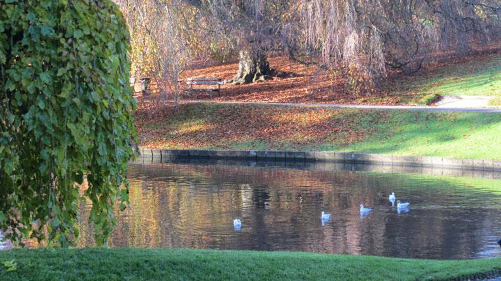 Le végétal et le paysage constituent des solutions aux problématiques actuelles humaines, financières, sociales et bien sûr environnementales, rappelle Val'hor.(c)Valérie Vidril Le végétal et le paysage constituent des solutions aux problématiques actuelles humaines, financières, sociales et bien sûr environnementales, rappelle Val'hor.(c)Valérie Vidril