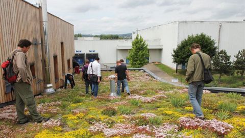 Exemple d'une excursion-formation organisée par Jardin Jade sur la végétalisation de toitures. ©Karine Peiger Exemple d'une excursion-formation organisée par Jardin Jade sur la végétalisation de toitures. ©Karine Peiger