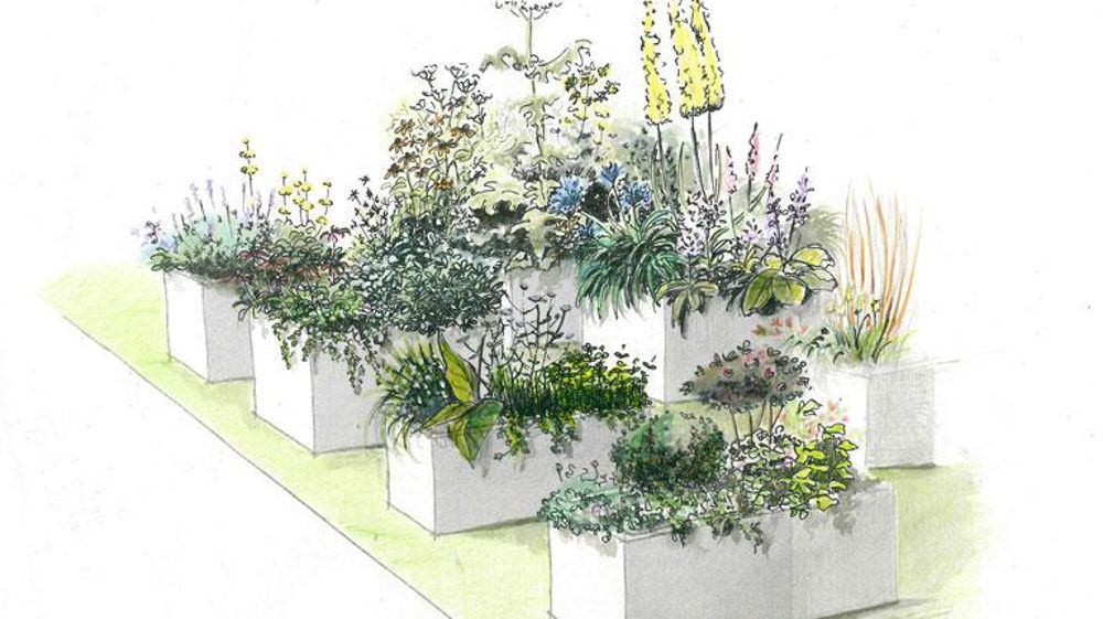 Le jardin conçu par l'association Plantes et Cultures permettra de visualiser vingt-cinq collections et leur appauvrissement imaginable si l'uniformisation du marché se poursuit. ©Plantes et Cultures Le jardin conçu par l'association Plantes et Cultures permettra de visualiser vingt-cinq collections et leur appauvrissement imaginable si l'uniformisation du marché se poursuit. ©Plantes et Cultures