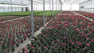 L'objectif de l'appel à projets Végépolys est, avec la mise en place de projets innovants collaboratifs, d'accélérer l'arrivée sur le marché d'innovations par les petites et moyennes entreprises. ©V.V. L'objectif de l'appel à projets Végépolys est, avec la mise en place de projets innovants collaboratifs, d'accélérer l'arrivée sur le marché d'innovations par les petites et moyennes entreprises. ©V.V.