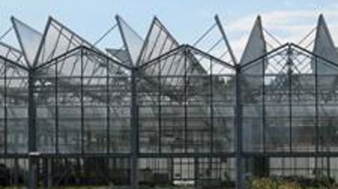 Photo serre ©Odile Maillard 