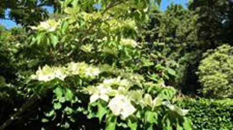 Photo : Pascal Fayolle 