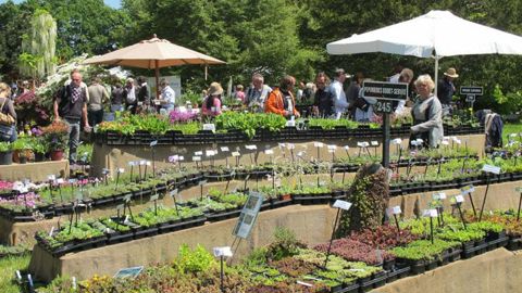 Chaque édition des Journées de Courson remporte toujours un vif succès, à l'instar de celle de printemps qui s'est déroulée du 16 au 18 mai dernier sous le soleil.(c)Odile Maillard Chaque édition des Journées de Courson remporte toujours un vif succès, à l'instar de celle de printemps qui s'est déroulée du 16 au 18 mai dernier sous le soleil.(c)Odile Maillard
