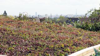 C'est dans la capitale que la Fédération nationale des producteurs de l'horticulture et des pépinières donne cette année rendez-vous à ses adhérents pour son congrès annuel. L'occasion de dresser le bilan des dernières années et d'élire un nouveau président...(c)Pascal Fayolle C'est dans la capitale que la Fédération nationale des producteurs de l'horticulture et des pépinières donne cette année rendez-vous à ses adhérents pour son congrès annuel. L'occasion de dresser le bilan des dernières ann C'est dans la capitale que la Fédération nationale des producteurs de l'horticulture et des pépinières donne cette année rendez-vous à ses adhérents pour son congrès annuel. L'occasion de dresser le bilan des dernières années et d'élire un nouveau président...(c)Pascal Fayolle C'est dans la capitale que la Fédération nationale des producteurs de l'horticulture et des pépinières donne cette année rendez-vous à ses adhérents pour son congrès annuel. L'occasion de dresser le bilan des dernières ann