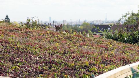 C'est dans la capitale que la Fédération nationale des producteurs de l'horticulture et des pépinières donne cette année rendez-vous à ses adhérents pour son congrès annuel. L'occasion de dresser le bilan des dernières années et d'élire un nouveau président...(c)Pascal Fayolle C'est dans la capitale que la Fédération nationale des producteurs de l'horticulture et des pépinières donne cette année rendez-vous à ses adhérents pour son congrès annuel. L'occasion de dresser le bilan des dernières ann
