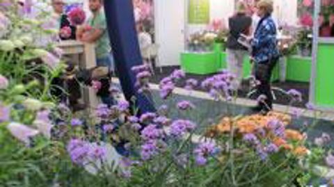 Photo Francis Ginestet  