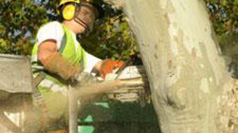 Photo : Pascal Fayolle 