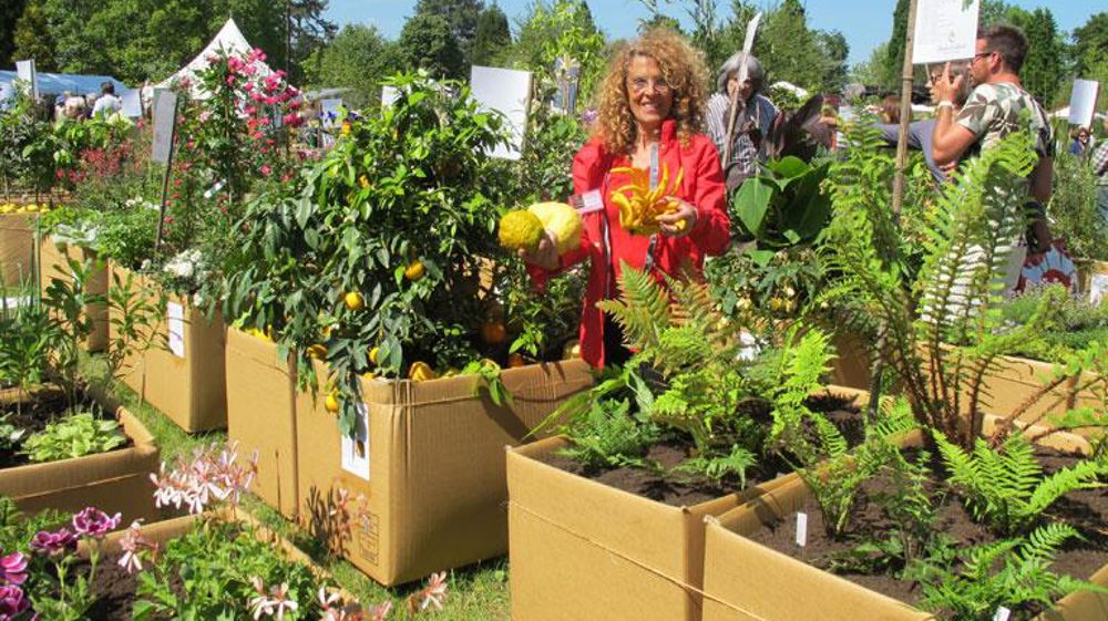 Témoignage de Bénédicte Bachès, pépiniériste spécialisée dans les agrumes et Présidente de Plantes & Cultures ©Odile Maillard Témoignage de Bénédicte Bachès, pépiniériste spécialisée dans les agrumes et Présidente de Plantes & Cultures ©Odile Maillard