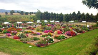 Une conférence et un atelier permettront de faire le point sur une année de pratiques en serre bioclimatique. Ici, présentation de cultures d'aromatiques sous serre Richel en 2013.© Valérie Vidril Une conférence et un atelier permettront de faire le point sur une année de pratiques en serre bioclimatique. Ici, présentation de cultures d'aromatiques sous serre Richel en 2013.© Valérie Vidril