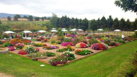 Une conférence et un atelier permettront de faire le point sur une année de pratiques en serre bioclimatique. Ici, présentation de cultures d'aromatiques sous serre Richel en 2013.© Valérie Vidril Une conférence et un atelier permettront de faire le point sur une année de pratiques en serre bioclimatique. Ici, présentation de cultures d'aromatiques sous serre Richel en 2013.© Valérie Vidril