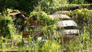 L'un des jardins, créés pour cette 23e édition du Festival international de Chaumont-sur-Loire, va concourir pour l'un des trois prix : une récompense lancée cette année.(c)E. Sander L'un des jardins, créés pour cette 23e édition du Festival international de Chaumont-sur-Loire, va concourir pour l'un des trois prix : une récompense lancée cette année.(c)E. Sander L'un des jardins, créés pour cette 23e édition du Festival international de Chaumont-sur-Loire, va concourir pour l'un des trois prix : une récompense lancée cette année.(c)E. Sander L'un des jardins, créés pour cette 23e édition du Festival international de Chaumont-sur-Loire, va concourir pour l'un des trois prix : une récompense lancée cette année.(c)E. Sander
