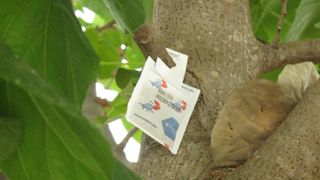 Pour l'UPJ, il n'est pas question d'opposer biocontrôle et produits classiques. ©Valérie Vidril Pour l'UPJ, il n'est pas question d'opposer biocontrôle et produits classiques. ©Valérie Vidril