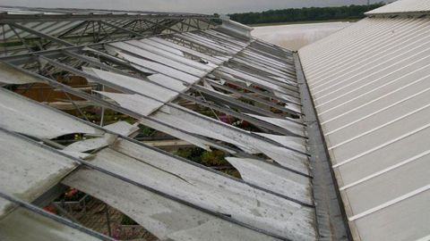 Suite à un orage, les dégâts varient en fonction des matériaux et de l'orientation de la serre par rapport aux impacts de grêle.© Gartenbau-Versicherung  Suite à un orage, les dégâts varient en fonction des matériaux et de l'orientation de la serre par rapport aux impacts de grêle.© Gartenbau-Versicherung 