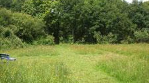 ©Plante & Cité  ©Plante & Cité