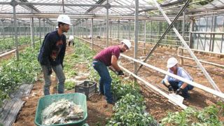 Dans le secteur de Cornay, plusieurs producteurs en maraîchage et en pépinière de jeunes plants, entre autres, ont été touchés par la vague d'orages et de grêle qui s'est abattue sur la région lors du week-end de la Pentecôte. À l'heure du bilan et de la remise en état, de nombreux volontaires sont venus leur prêter main forte.  ©CAAHMRO Dans le secteur de Cornay, plusieurs producteurs en maraîchage et en pépinière de jeunes plants, entre autres, ont été touchés par la vague d'orages et de grêle