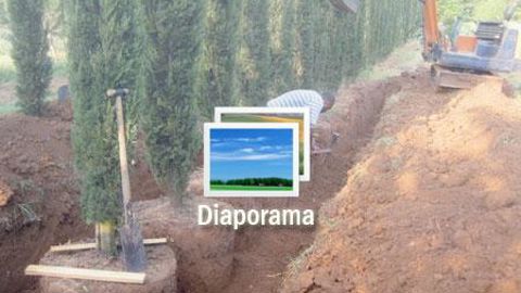 01. Cyprès en motte classique en bacs bois cerclés. Les désavantages : la fabrication, le poids, l'arrosage (mauvaise rétention d'eau), le coût… ©Odile Maillard