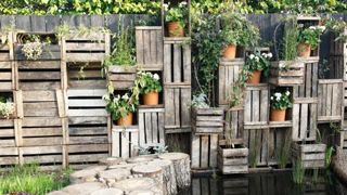 Le « Jardin des poules » a reçu le prix « Jardin transposable Le « Jardin des poules » a reçu le prix « Jardin transposable Le « Jardin des poules » a reçu le prix « Jardin transposable Le « Jardin des poules » a reçu le prix « Jardin transposable