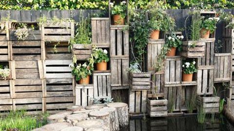 Le « Jardin des poules » a reçu le prix « Jardin transposable Le « Jardin des poules » a reçu le prix « Jardin transposable