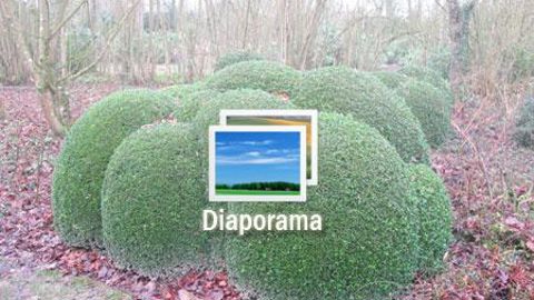 01. Ici, des formes « fessues » évoquent la luxure. Ailleurs, la dictature est symbolisée par le Catalpa qui recouvre les petits buis, l'avarice par un tapis doré d'ifs.