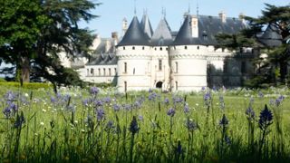 ©E. Sander En 23 saisons, plus de 600 jardins ont été créés sur le Domaine de Chaumont sur Loire : des prototypes de jardins de demain pour aller à la découverte des nouveaux grands créateurs de demain. ©E. Sander En 23 saisons, plus de 600 jardins ont été créés sur le Domaine de Chaumont sur Loire : des prototypes de jardins de demain pour aller à la découverte des nouveaux grands créateurs de demain.