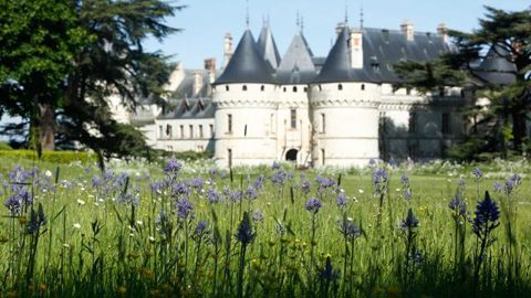 ©E. Sander En 23 saisons, plus de 600 jardins ont été créés sur le Domaine de Chaumont sur Loire : des prototypes de jardins de demain pour aller à la découverte des nouveaux grands créateurs de demain. 