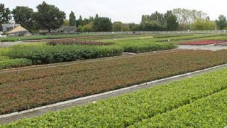 Les pépinières André Briant Jeunes Plants, situées à Saint-Barthélemy-d'Anjou (49), ici, le secteur godet de La Bouvinerie, ont trouvé un repreneur. ©ABJP Les pépinières André Briant Jeunes Plants, situées à Saint-Barthélemy-d'Anjou (49), ici, le secteur godet de La Bouvinerie, ont trouvé un repreneur. ©ABJP Les pépinières André Briant Jeunes Plants, situées à Saint-Barthélemy-d'Anjou (49), ici, le secteur godet de La Bouvinerie, ont trouvé un repreneur. ©ABJP Les pépinières André Briant Jeunes Plants, situées à Saint-Barthélemy-d'Anjou (49), ici, le secteur godet de La Bouvinerie, ont trouvé un repreneur. ©ABJP