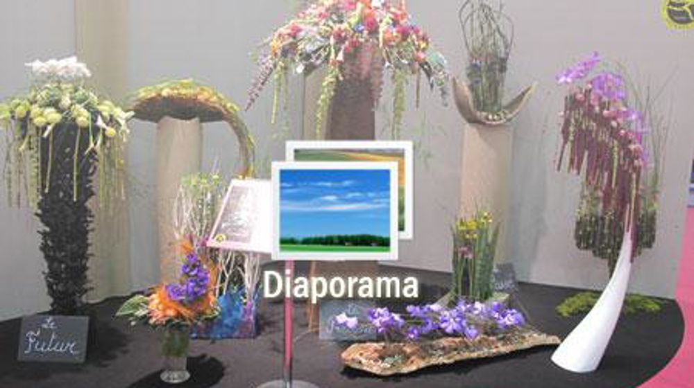 Photos ©Odile Maillard 