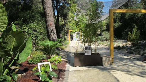 ©Valérie Vidril « De l'ombre à la lumière ». La scène végétale d'ouverture du festival, à l'entrée du parc de Grammont, offre trois ambiances lumineuses. Une partie de ce jardin, dessiné par le bureau d'études de Montpellier et mis en oeuvre par les jardiniers de la ville, deviendra le décor permanent de l'allée d'entrée du parc. 