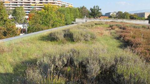 Toiture végétalisée au quartier du Pommier au Grand‐Saconnex, à Genève en Suisse.(c)Valérie Vidril  Toiture végétalisée au quartier du Pommier au Grand‐Saconnex, à Genève en Suisse.(c)Valérie Vidril 