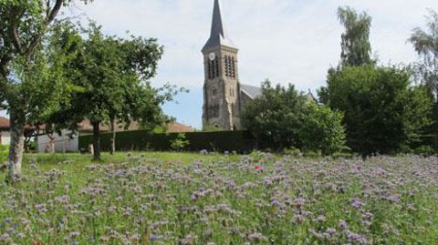 Une communication relative à « la reconquête des paysages et de la nature en ville » a été présentée par Ségolène Royal, en conseil des ministres, en septembre 2014…©Pascal Fayolle Une communication relative à « la reconquête des paysages et de la nature en ville » a été présentée par Ségolène Royal, en conseil des ministres, en septembre 2014…©Pascal Fayolle