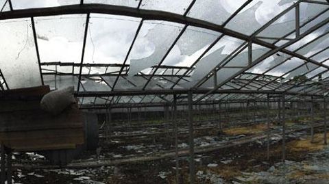 Dans les Alpes-Maritimes, la grêle a sévi le 13 octobre 2014 : une vingtaine d'exploitations, ont été touchées, dont une dizaine d'horticulteurs. ©Jean-Luc Belliard, CA06 Dans les Alpes-Maritimes, la grêle a sévi le 13 octobre 2014 : une vingtaine d'exploitations, ont été touchées, dont une dizaine d'horticulteurs. ©Jean-Luc Belliard, CA06