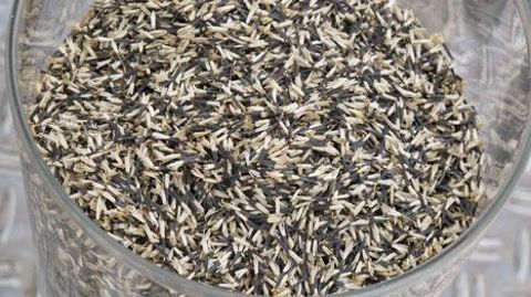 La campagne « Aux graines citoyens ! » condamne « le règne des semences brevetées » et sème les graines de la discorde. ©Odile Maillard La campagne « Aux graines citoyens ! » condamne « le règne des semences brevetées » et sème les graines de la discorde. ©Odile Maillard