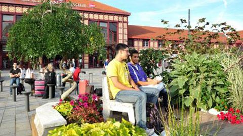 12 équipes de jardiniers ont réalisé des jardins éphémères. L'esplanade devant la gare Châteaucreux a été fleurie de juin à octobre, pour le plus grand plaisir des citoyens et des touristes. ©Ville de Saint-Etienne. 12 équipes de jardiniers ont réalisé des jardins éphémères. L'esplanade devant la gare Châteaucreux a été fleurie de juin à octobre, pour le plus grand plaisir des citoyens et des touristes. ©Ville de Saint-Etienne.